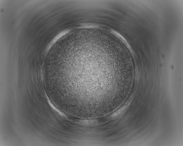 X0000085841433200703301633