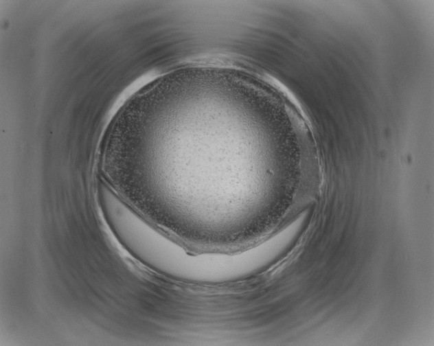 X0000085841434200703301633