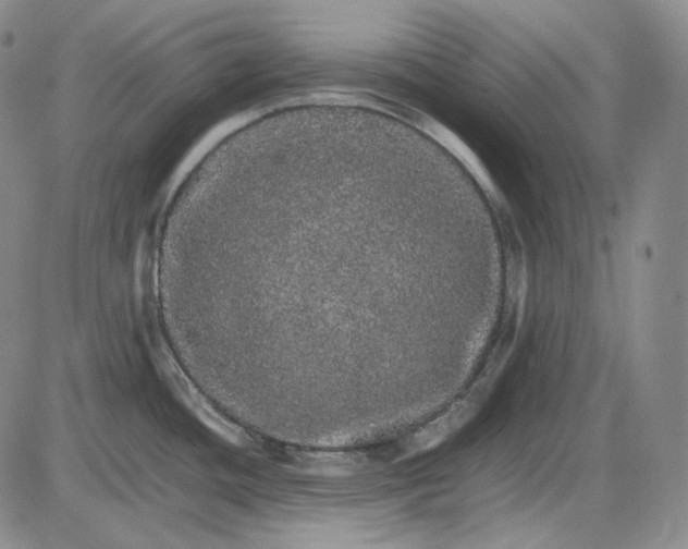 X0000085841436200703301633