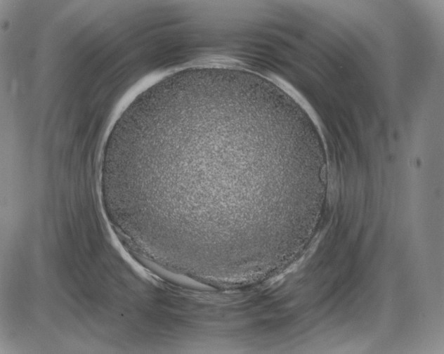 X0000085841437200703301633