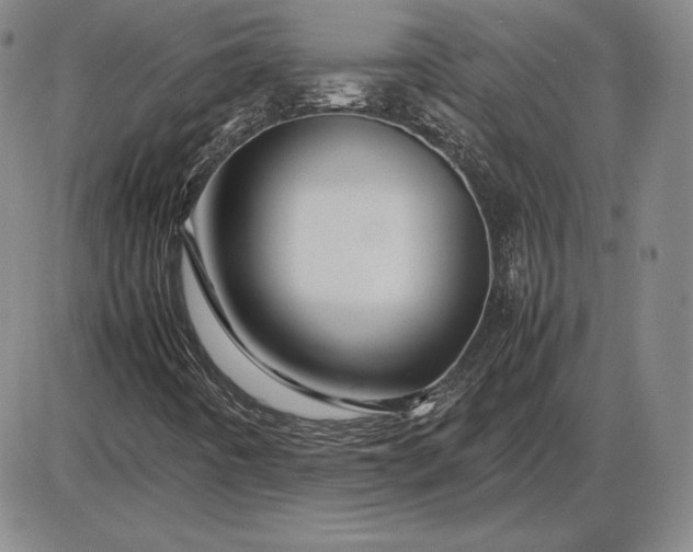 X0000085841442200703301633