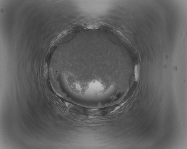X0000085841443200703301633