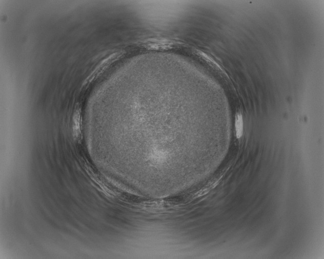 X0000085841444200703301633