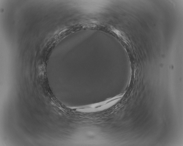 X0000085841445200703301633