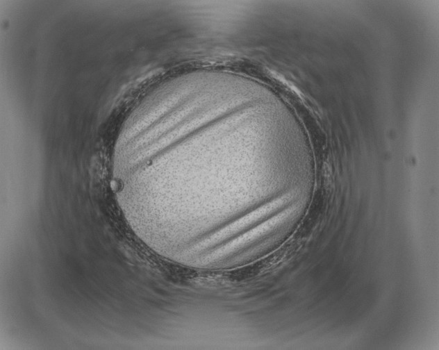 X0000085841447200703301633