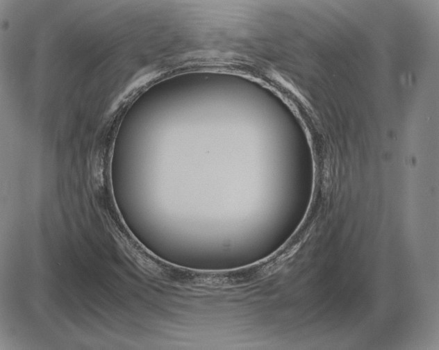 X0000085841451200703301632