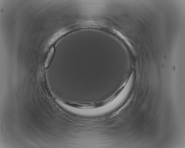 X0000085841453200703301632