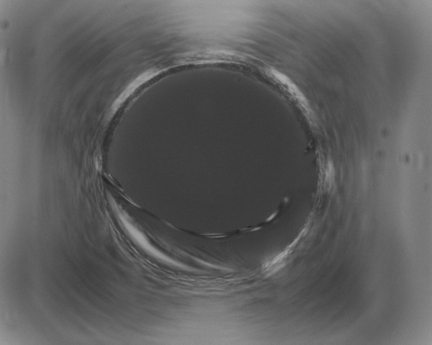 X0000085841457200703301632