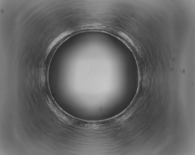 X0000085841458200703301632