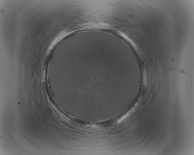 X0000085841459200703301632