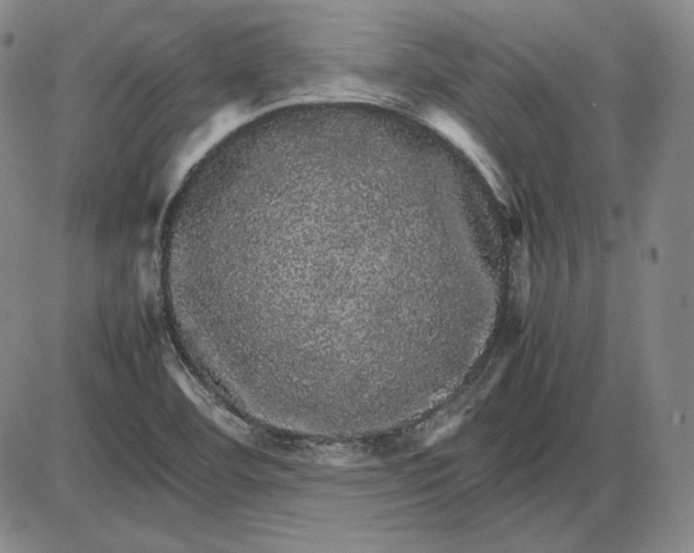 X0000085841460200703301632