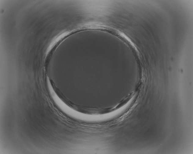 X0000085841461200703301632