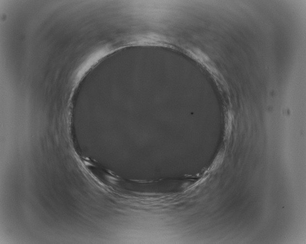 X0000085841463200703301632
