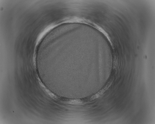 X0000085841464200703301632