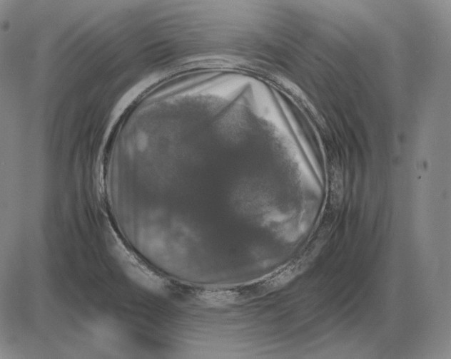 X0000085841466200703301632