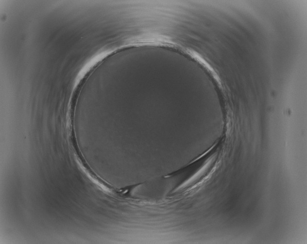 X0000085841469200703301632