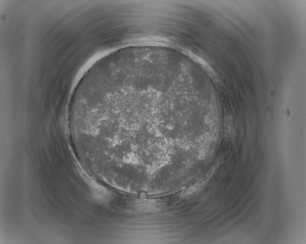X0000085841470200703301632