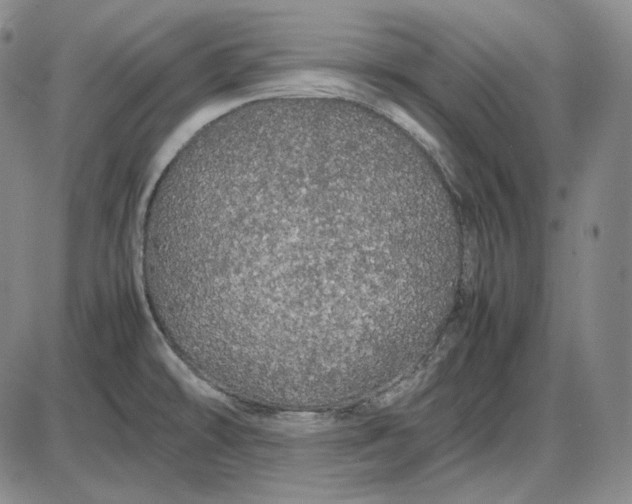 X0000085841478200703301632