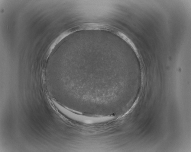 X0000085841481200703301632