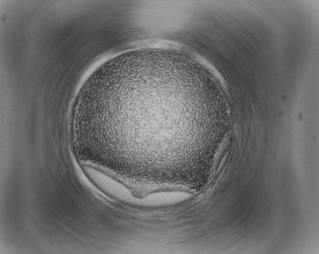 X0000085841483200703301632