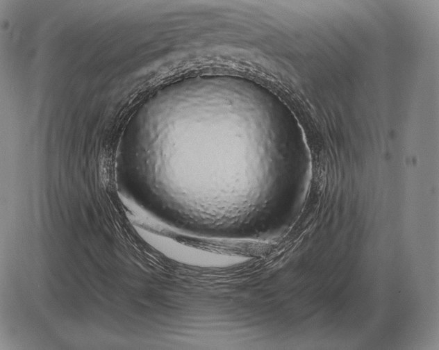 X0000085841490200703301631
