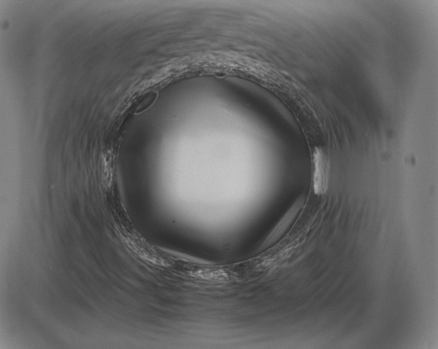 X0000085841491200703301631