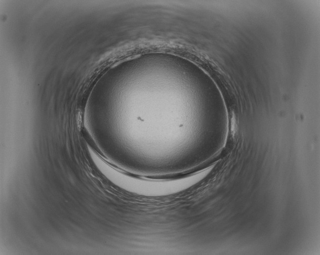 X0000085841492200703301631