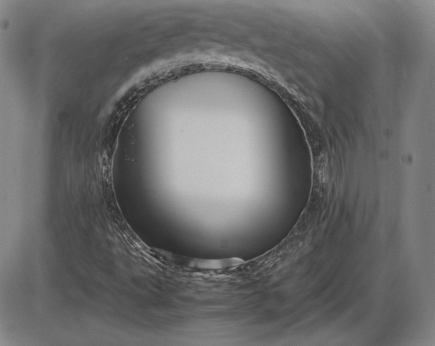 X0000085841495200703301631
