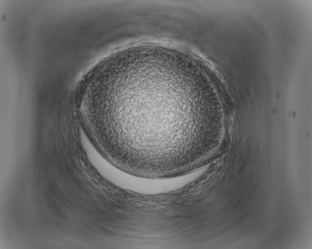 X0000085841496200703301631