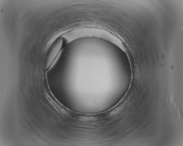 X0000085841499200703301631