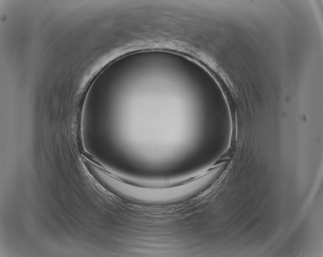 X0000085841500200703301631