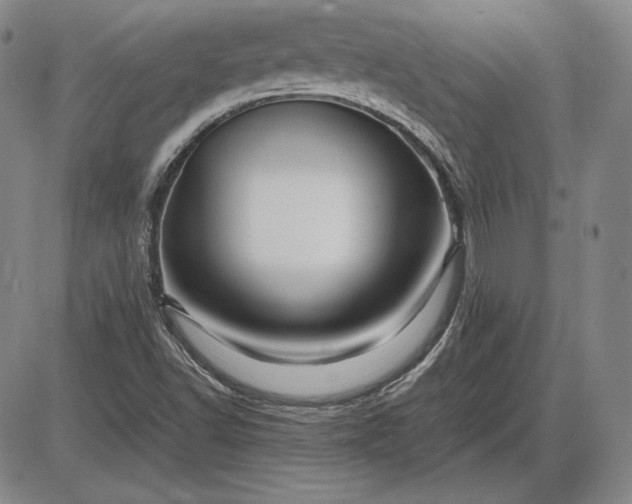 X0000085841502200703301631