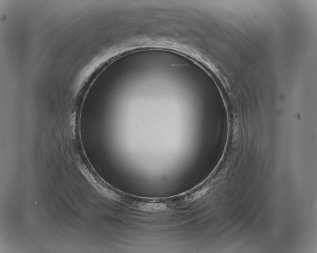 X0000085841503200703301631