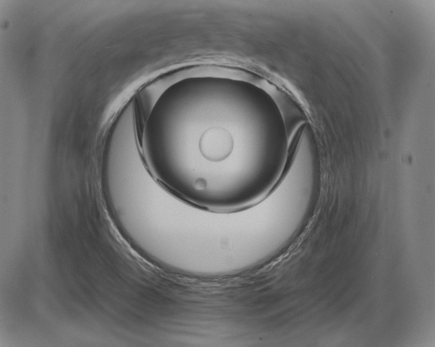X0000085841504200703301631