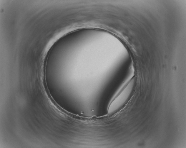 X0000085841512200703301631