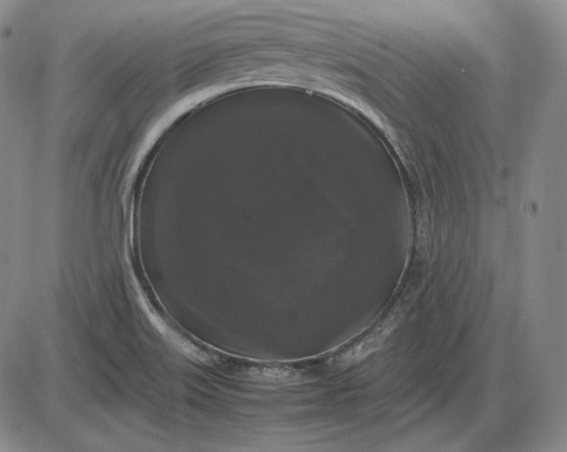 X0000085841515200703301632