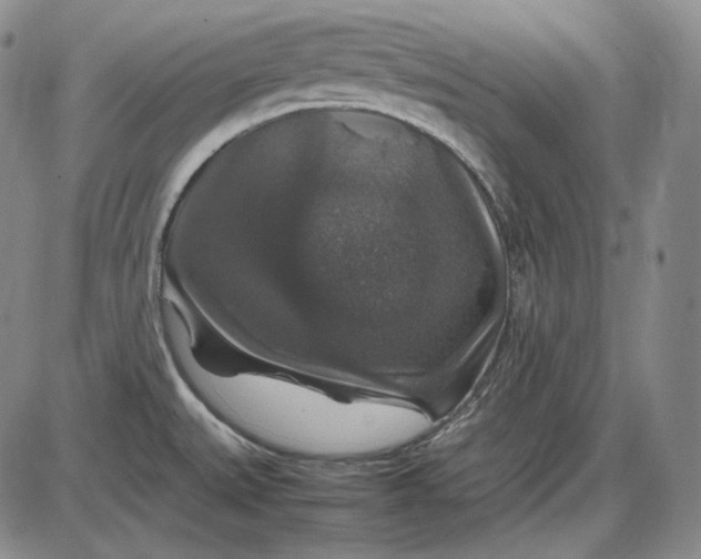 X0000085841527200703301632