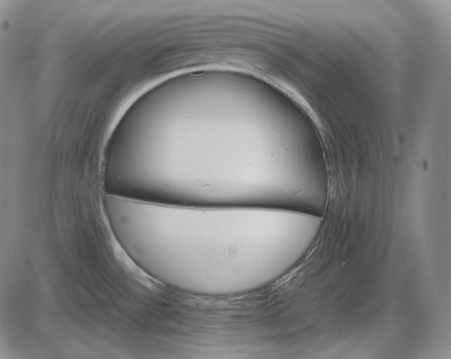 X0000085841532200703301632