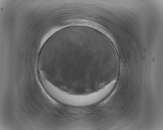 X0000085841533200703301632