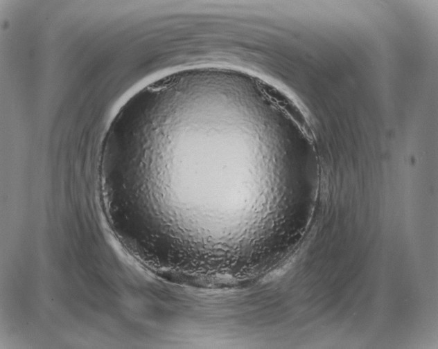 X0000085841534200703301632