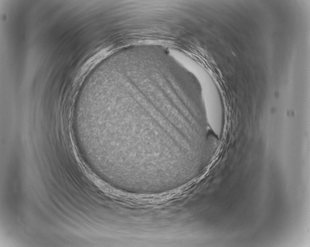 X0000085840001200704091735