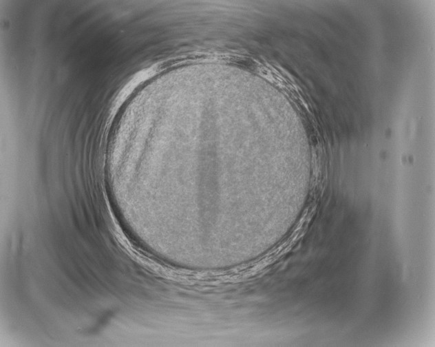 X0000085840003200704091735