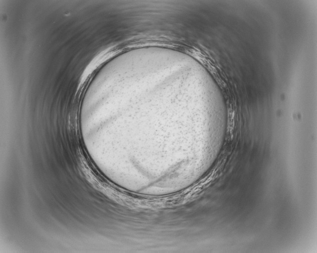 X0000085840004200704091735