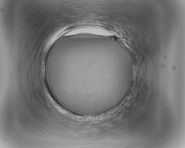 X0000085840005200704091735