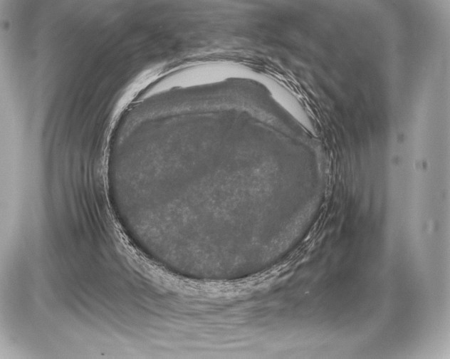 X0000085840006200704091735