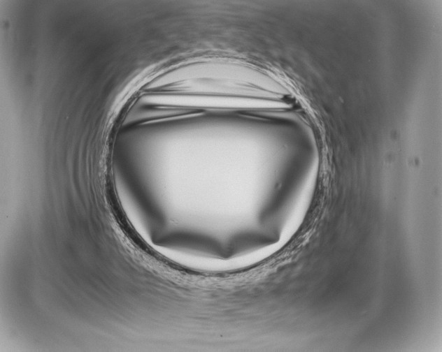 X0000085840007200704091735