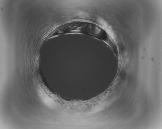 X0000085840009200704091735