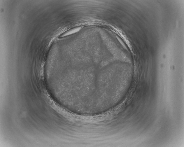 X0000085840010200704091735