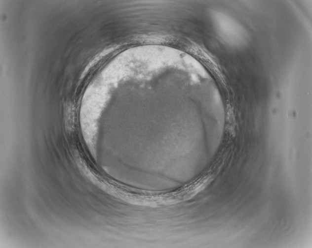 X0000085840012200704091735