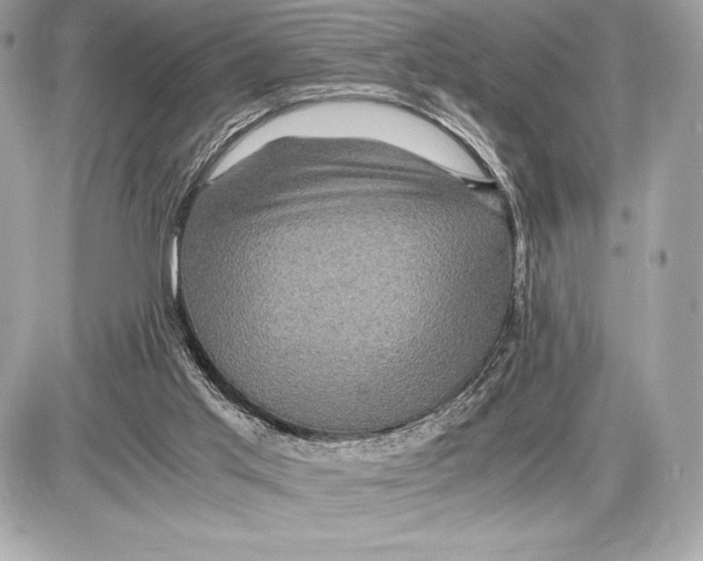 X0000085840013200704091735